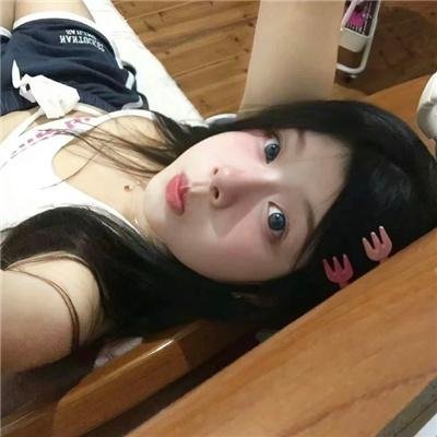 哈吉布基的森林冒险